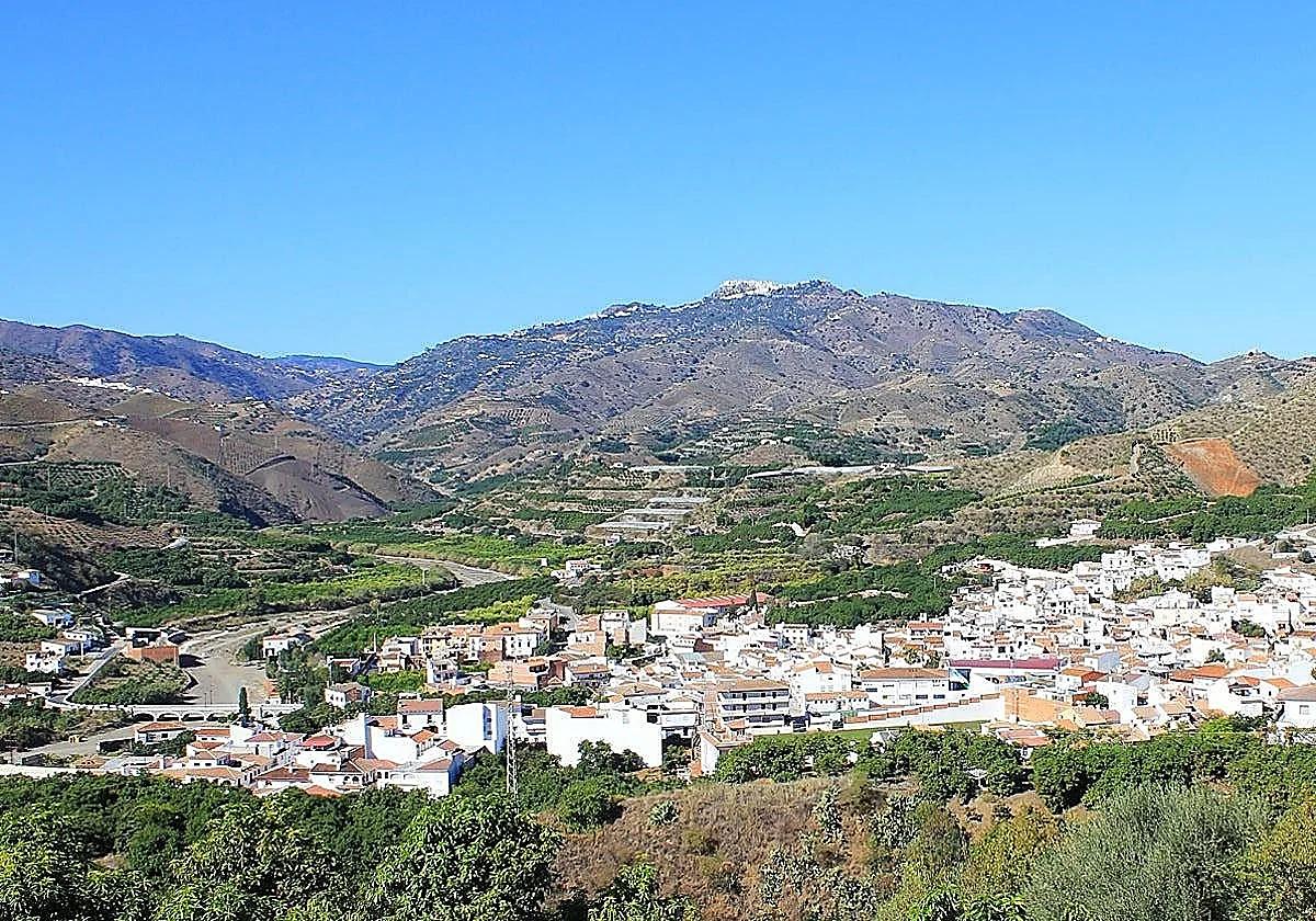 Head to Malaga's Benamargosa for its annual country fair