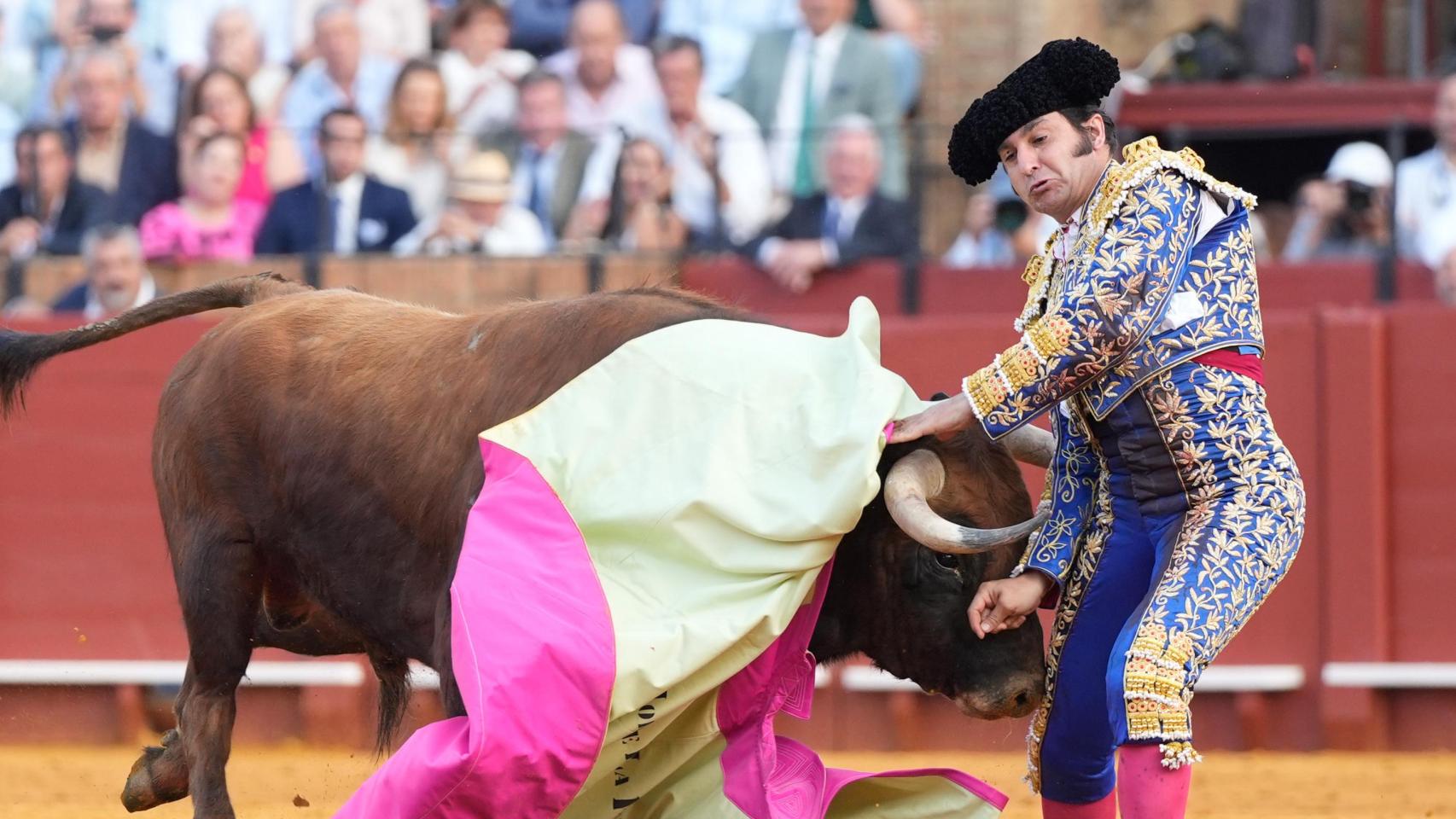 Morante de la Puebla recibe el alta hospitalaria tras la cornada del pasado lunes y continuará con la recuperación en casa
