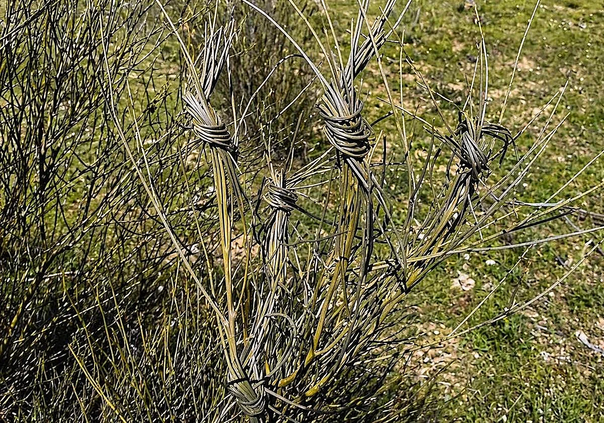 Atar al diablo: el enigmático rito de San Marcos que aún se practica en Málaga