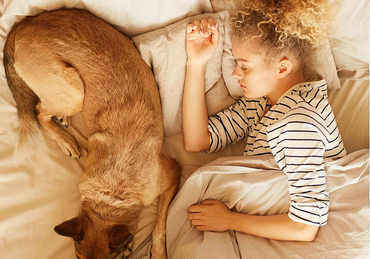 ¿Deberías dormir con tu perro? Cómo afecta al sueño... y por qué le gusta ponerse en la almohada