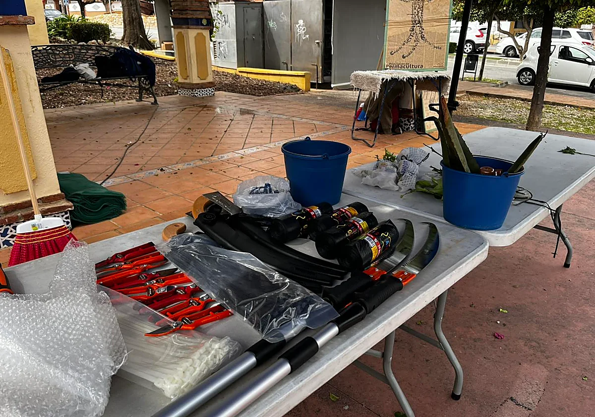 Alhaurín de la Torre quiere endulzar sus naranjos