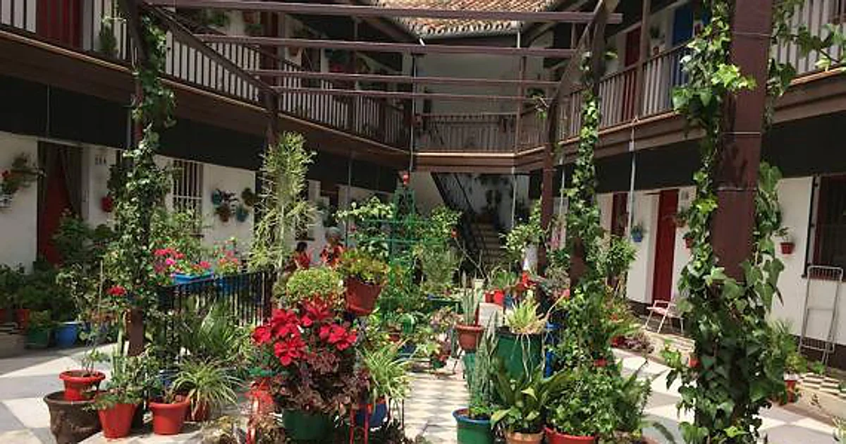 Malaga to promote the popular traditions of its historic neighbourhoods