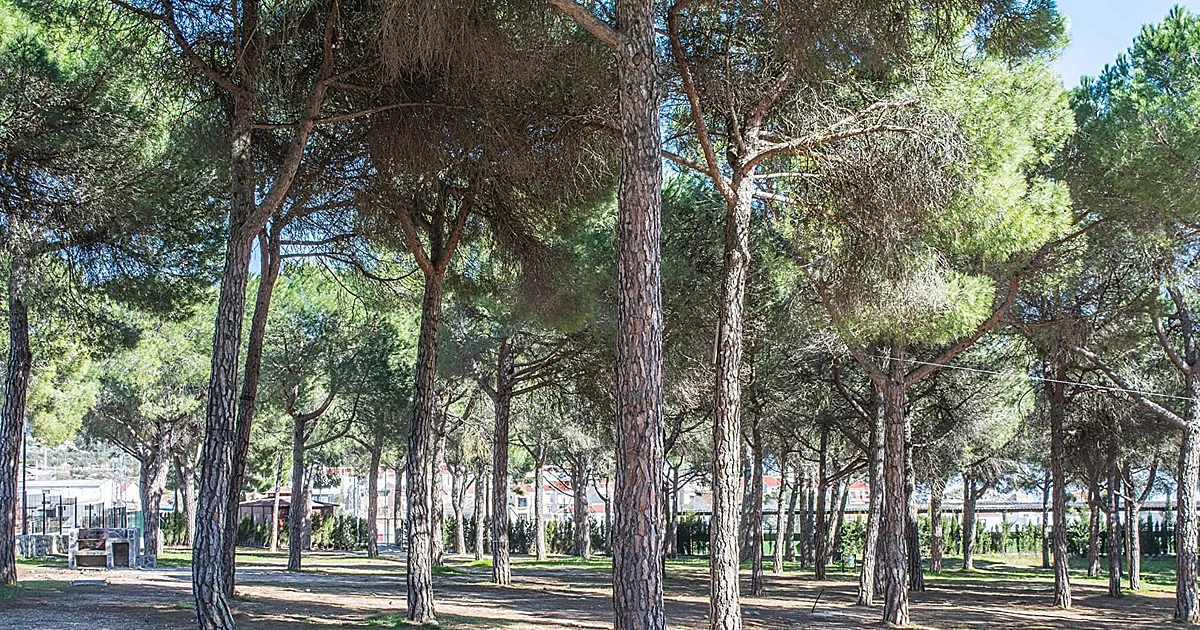 Una sauna escandinava en pleno monte de Málaga: así se transformará el camping de Yunquera