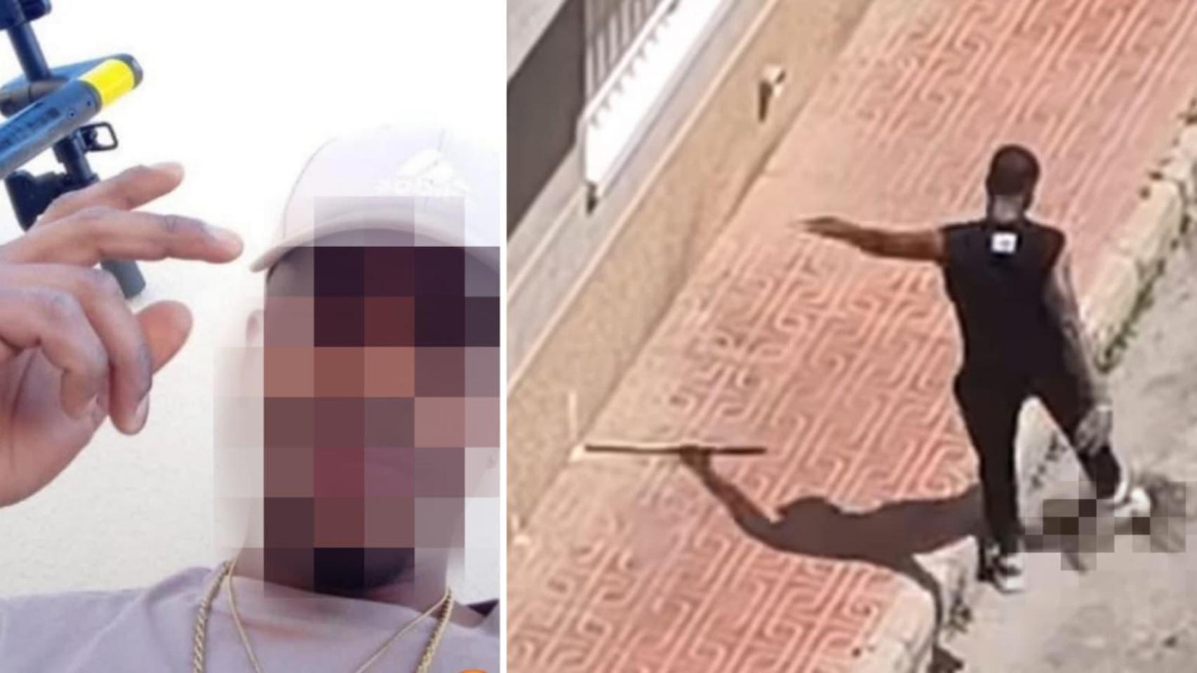 Un hombre mata a patadas y a palazos al gato de su expareja en Torrevieja como venganza: "Es lo peor que hemos visto"