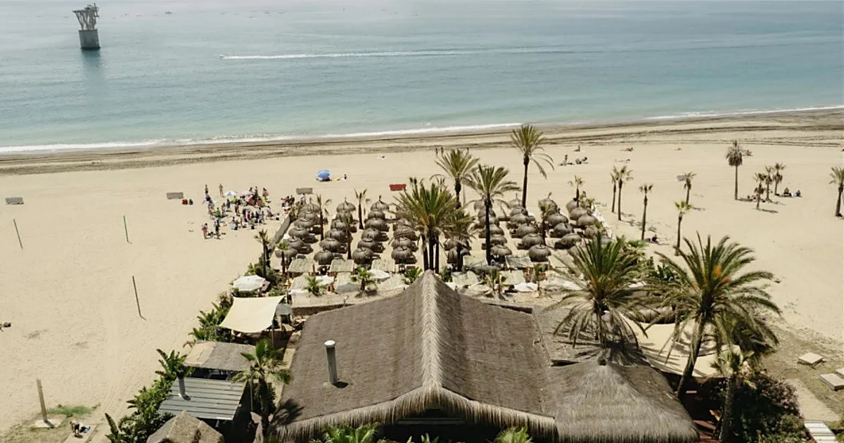 Inmobiliarias y restaurantes: Barnes y Grupo Mosh se alían