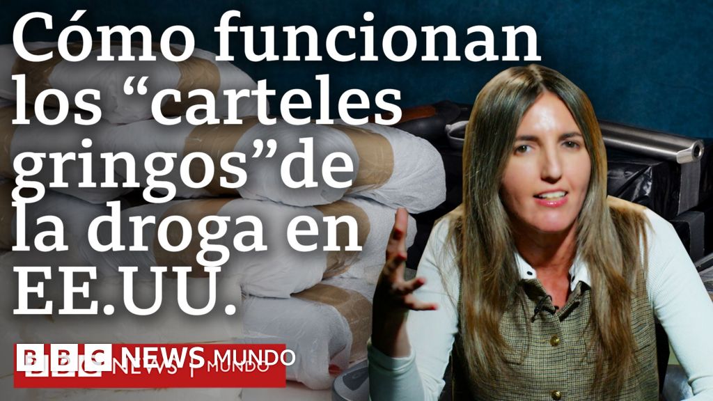 "Carteles gringos", cómo funcionan las pandillas que venden droga en EE.UU. | BBC Mundo