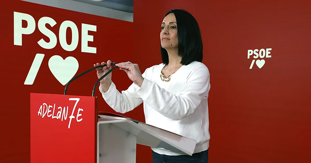 El PSOE pedirá amparo al Supremo por las «injurias» de Aldama