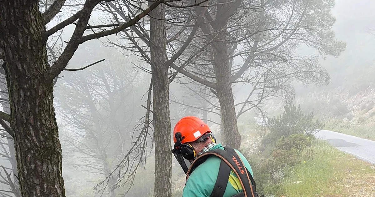Mijas steps up forest fire prevention in lead-up to high-risk season