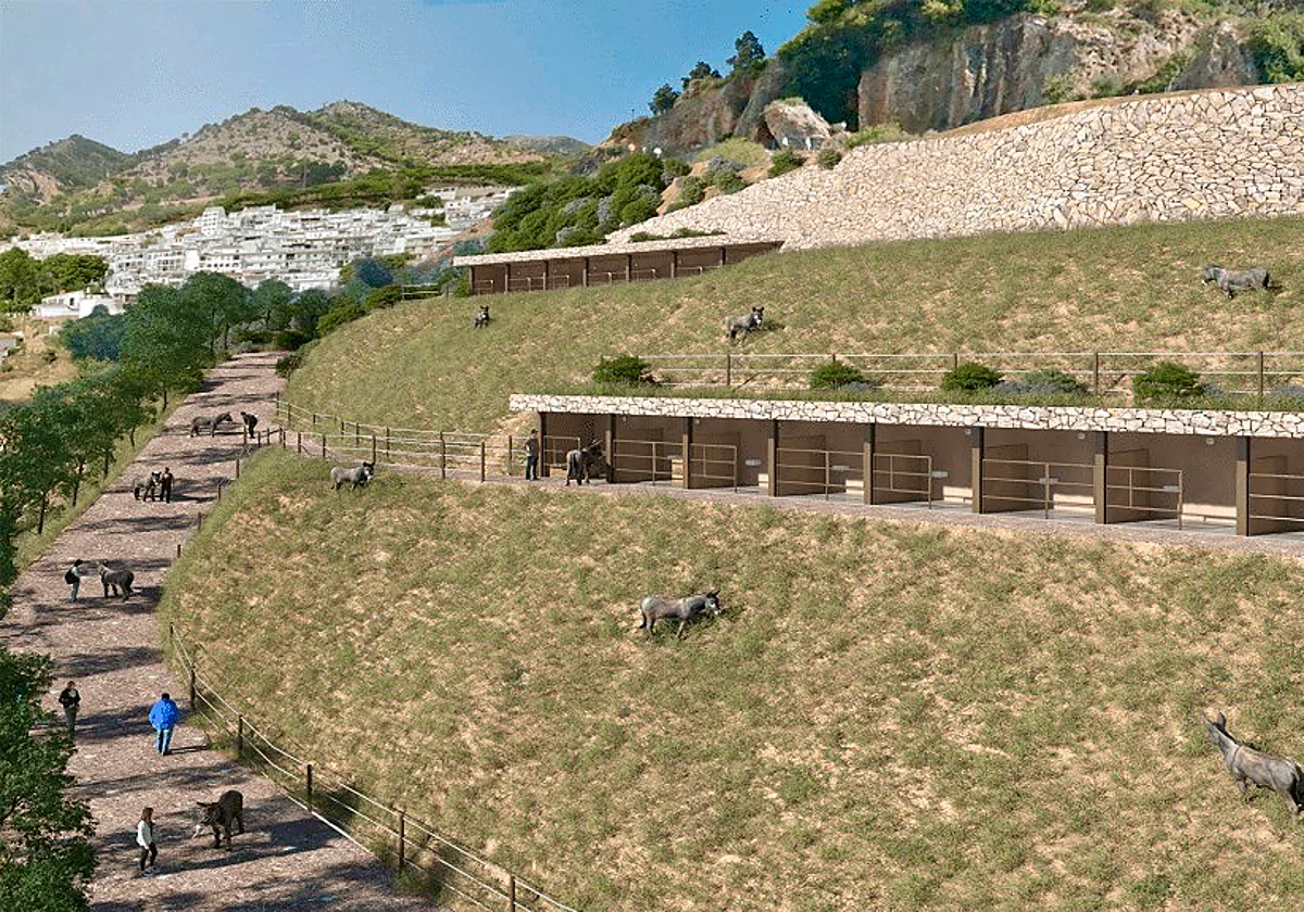 Visitor park for tourist donkeys planned on the Costa del Sol