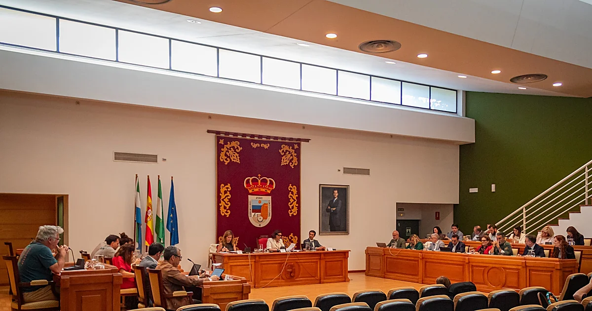 El pleno de Torremolinos reclama que se mantenga la FP para el alumnado con necesidades especiales