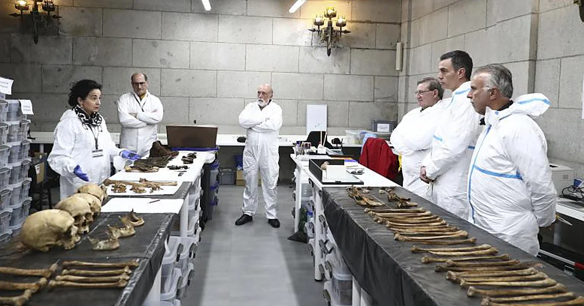 Engañadlos a todos, el Estado elegirá a los suyos