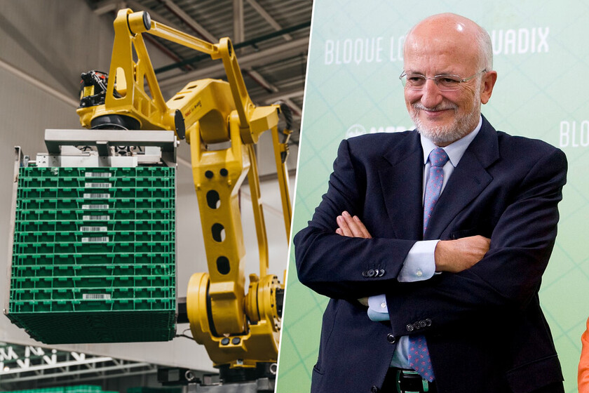 Mercadona ha comprado la empresa que lleva décadas suministrándole palés y cajas. Y hay un motivo muy sencillo