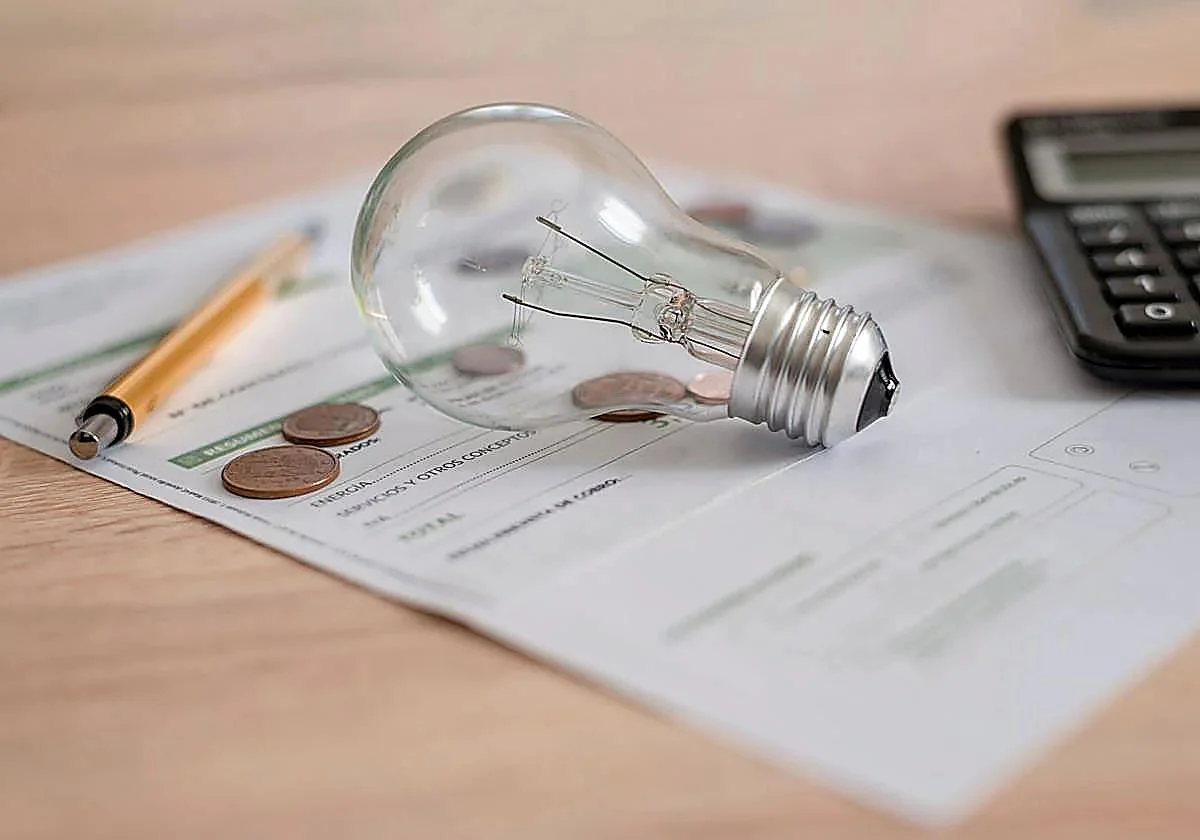 Do you want to slash 20 euros off your monthly electricity bill? Try these simple measures...