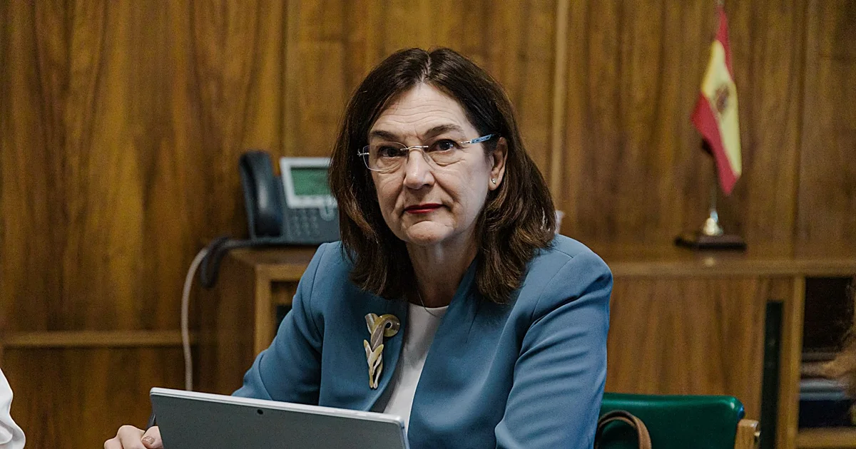 La CNMC intensifica su ofensiva tras el apagón con nuevos expedientes con el foco en el gas y Naturgy