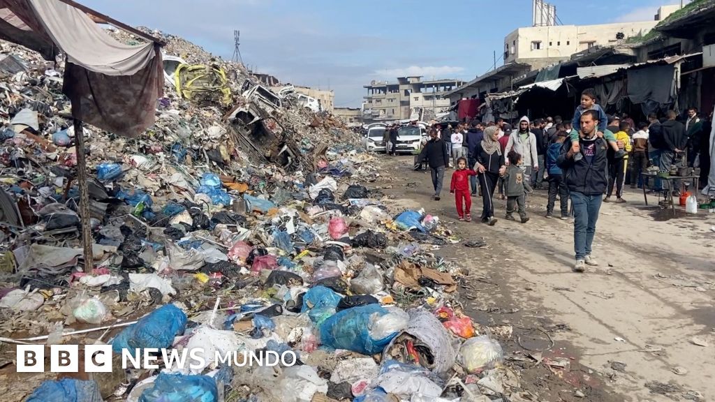 "Las ratas están saliendo de las tiendas": los campamentos de Gaza invadidos por roedores transmisores de enfermedades
