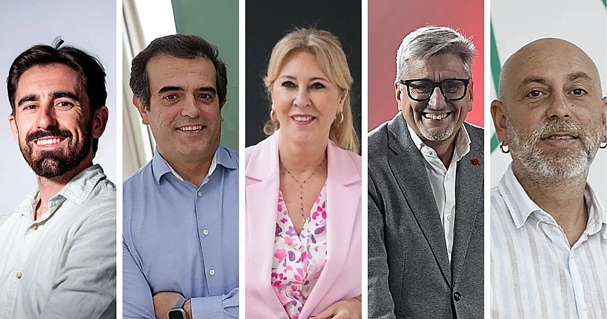 El Centra vaticina la victoria del PP en Málaga aunque bajaría en escaños