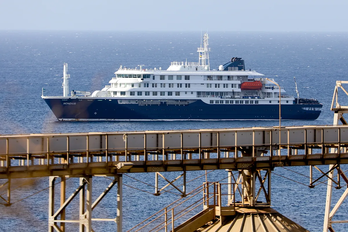 Nuevo caso de hantavirus en un crucero: ¿por qué se ha producido el brote y en qué consiste esta enfermedad?