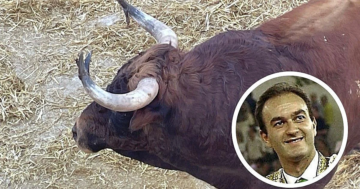 Primer investigado por la muerte del torero Ricardo Ortiz en la plaza de La Malagueta