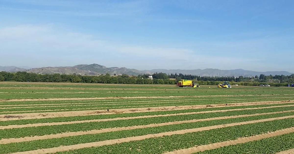 Los regantes denuncian una treintena de averías en los riegos del Guadalhorce