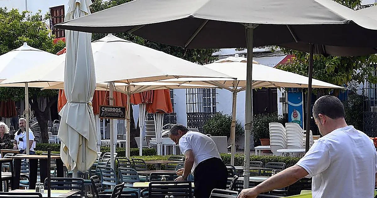 El desempleo cae en Marbella más de un 10 por ciento en el último año