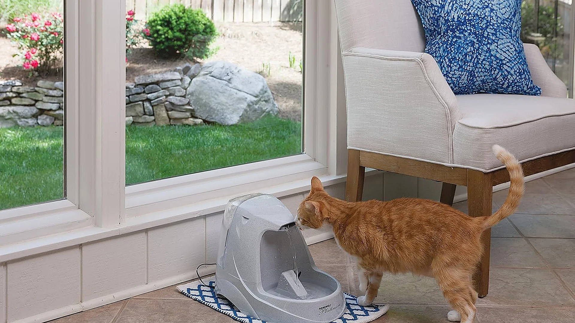 Agua siempre fresca y sin bacterias: así es la fuente PetSafe Drinkwell para mascotas