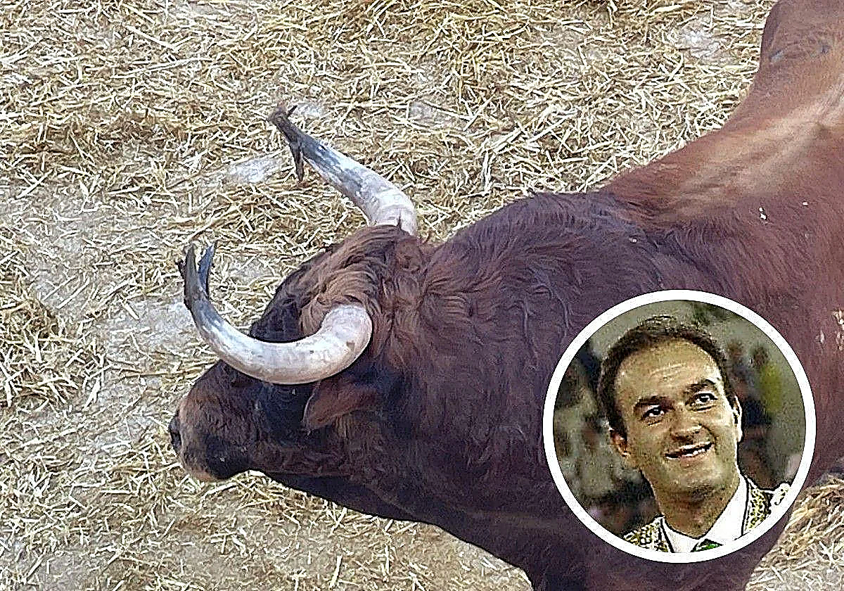 Investigation into Malaga bullfighter’s death: First person of interest summoned to court