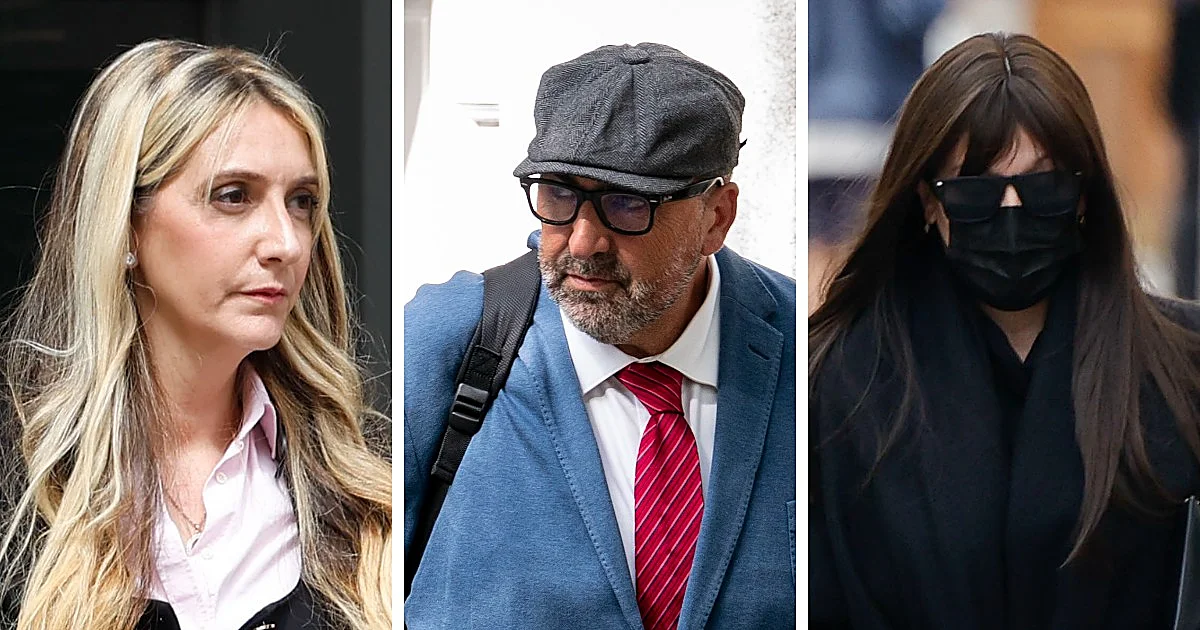 El grito desesperado de Luzón en el Supremo: «¡Las empresas públicas no pueden ser el aparcamiento de amigos y 'sobrinas'!»