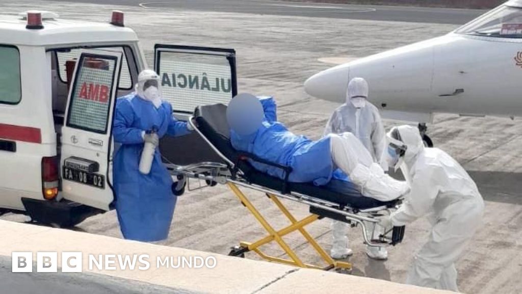 Identifican cepa andina de hantavirus que se transmite entre humanos en el brote mortal del crucero que zarpó de Argentina