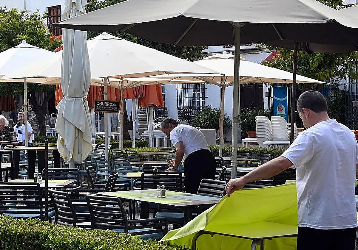 Marbella's unemployment total falls by more than 10% in the last year
