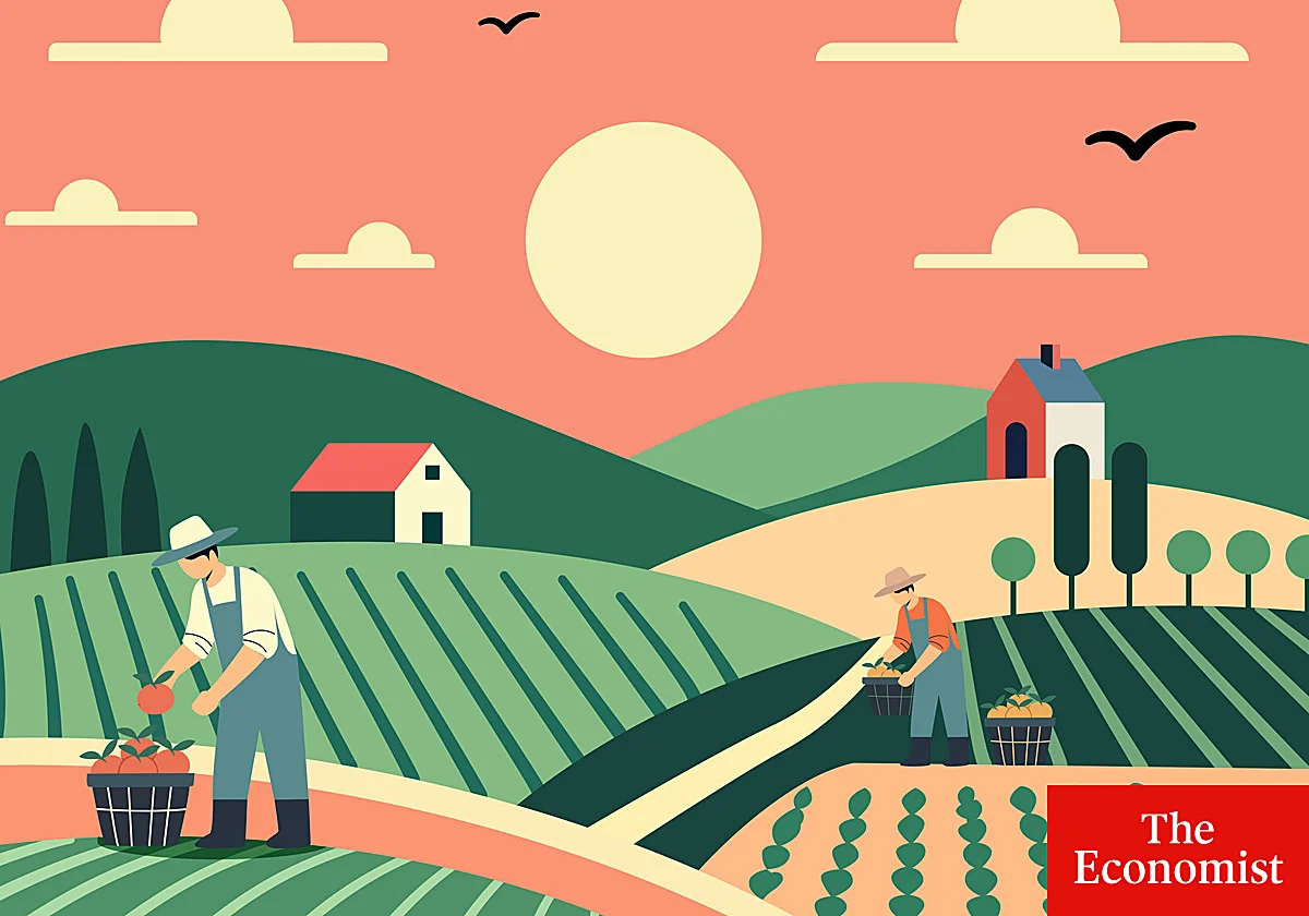 Donald Trump está arruinando a los agricultores estadounidenses, pero estos le apoyan
