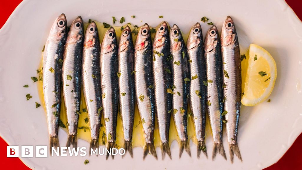 3 propiedades que hacen de las sardinas un superalimento barato ideal para tu salud