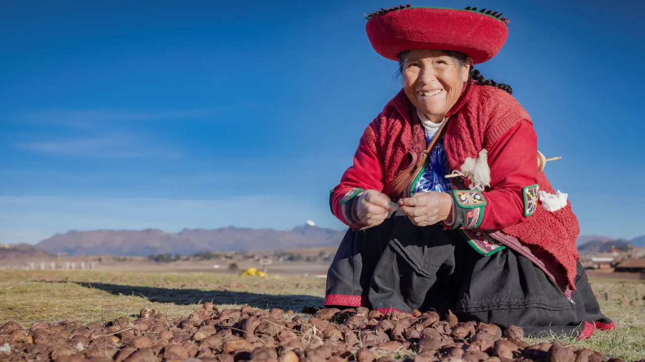 Indígenas andinos desarrollaron una adaptación genética única para digerir almidón