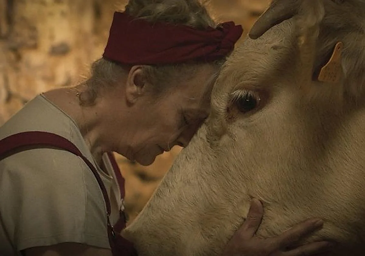 'Cowgirl': la vaca valenciana que nos enseña que siempre se puede volver a empezar