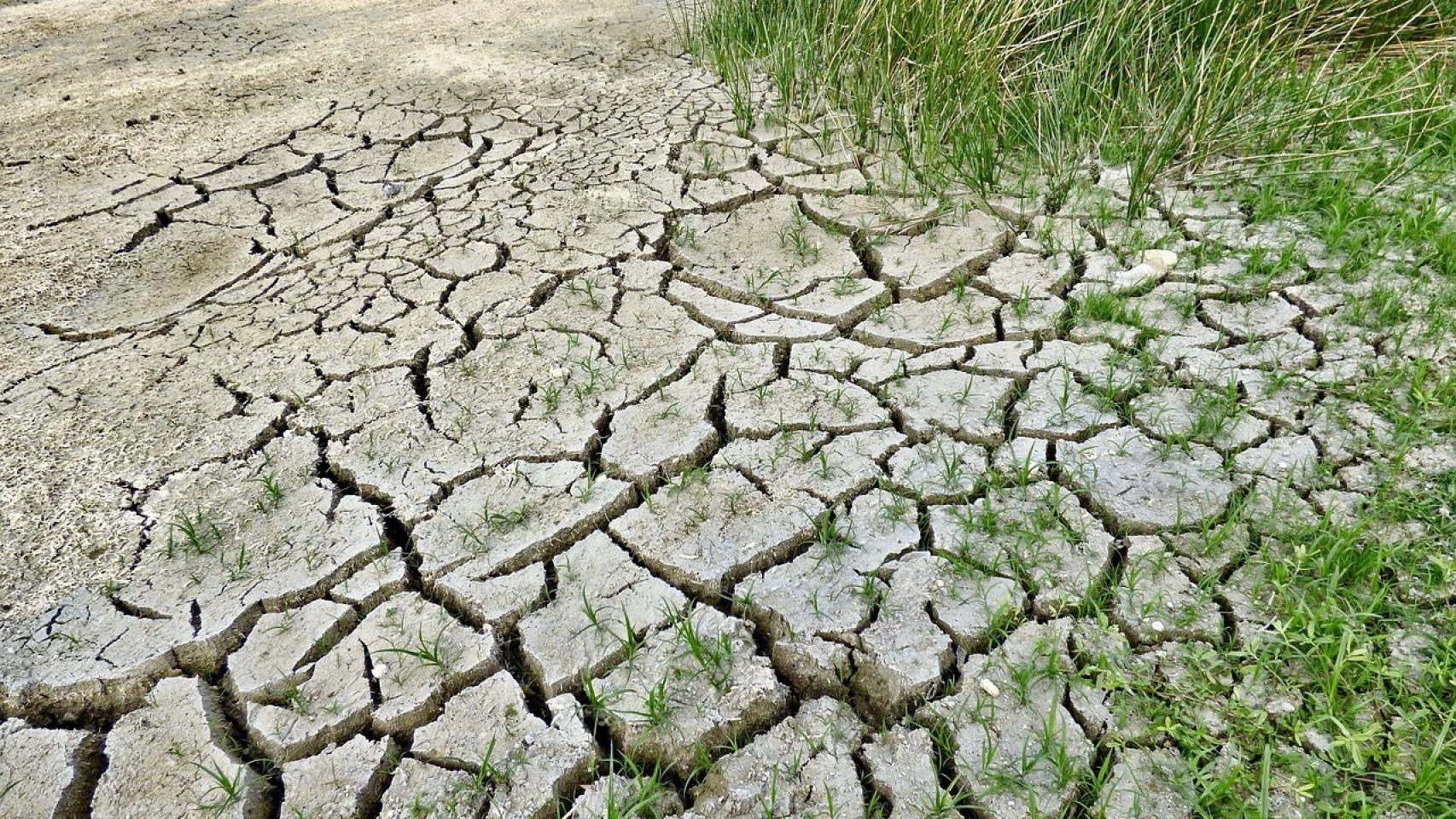 La 'esponja de carbono': la tecnología viva del suelo que enfría el planeta tres veces más de lo que lo calienta el CO2