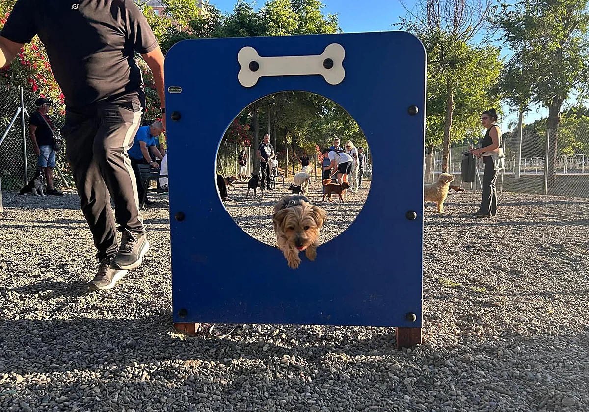 Torremolinos inaugurates its seventh canine park