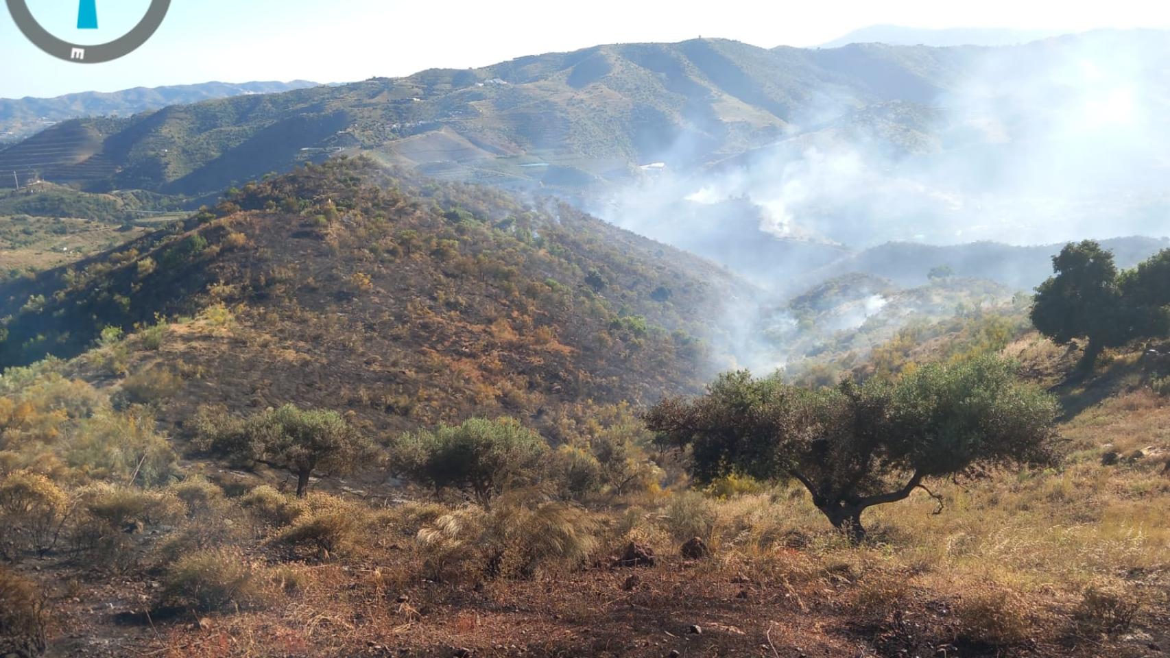 El Infoca lucha contra el primer incendio forestal de la temporada en Canillas de Aceituno: ya está estabilizado