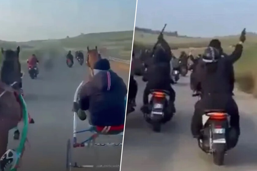Sicilia tiene un problema muy distinto al turismo: las carreras de caballos dopados con fusiles Kaláshnikovs de la mafia