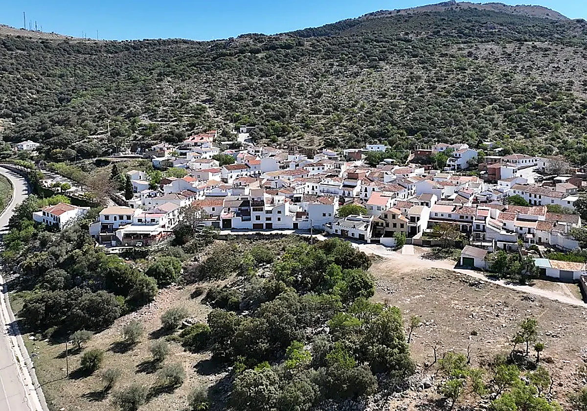 Axarquía village councillor's father dies in work-related accident