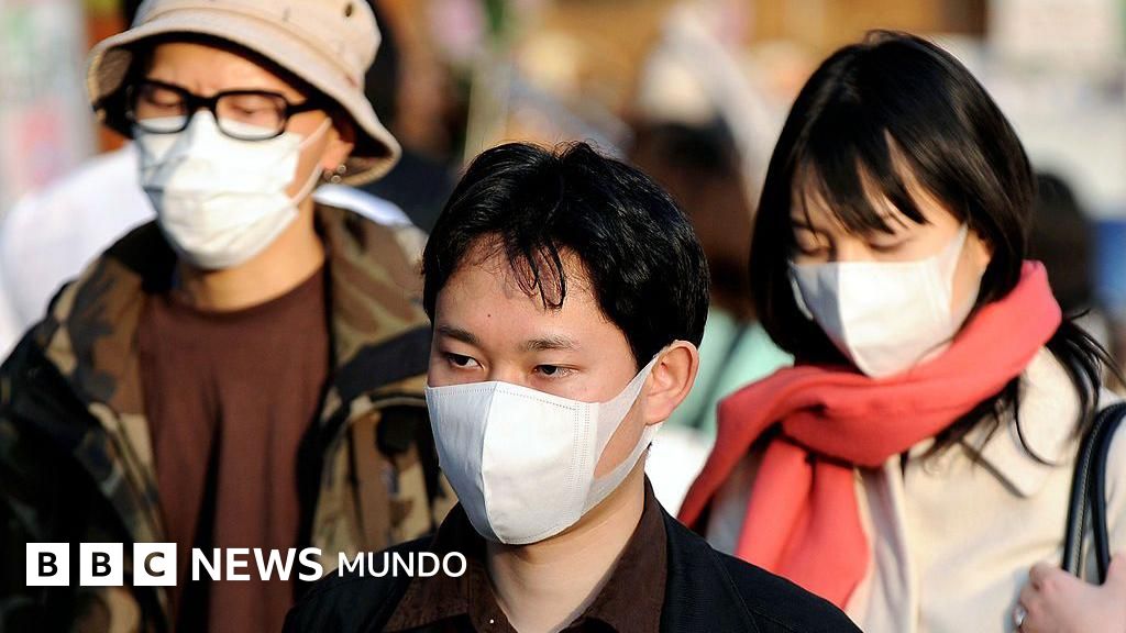 El proyecto fruto de la Segunda Guerra Mundial que hace que los japoneses sufran cada vez más alergias