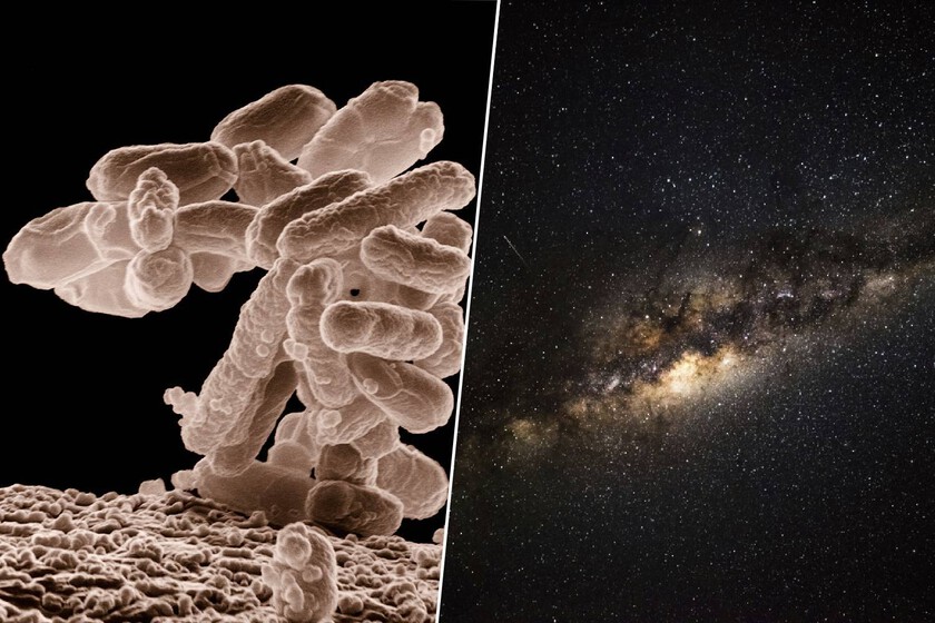 Buscamos vida extraterrestre desde hace décadas. Según estos astrobiólogos, llevamos todo ese tiempo haciéndolo mal