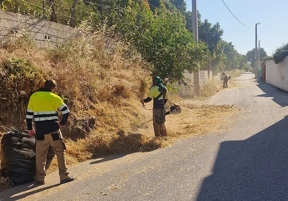 Prevención de incendios en Alhaurín de la Torre: limpieza, desbroce y un cortafuegos de 25 metros