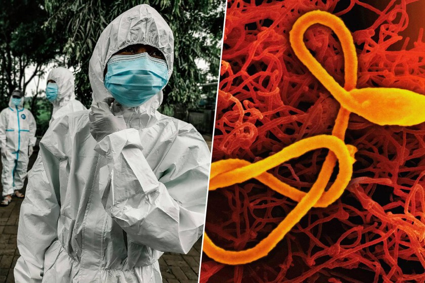 Habíamos visto muchos brotes de ébola en África central, probablemente ninguno como este