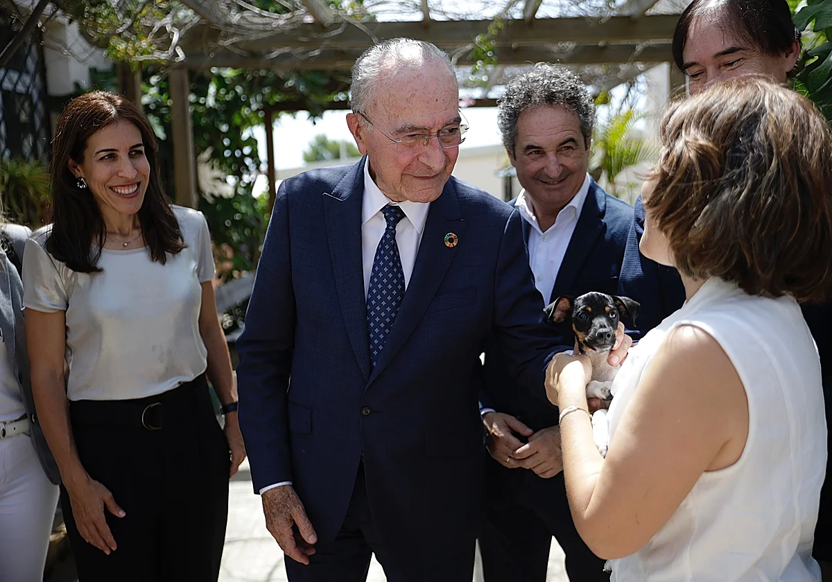 Málaga mejora el Centro de Protección Animal con urgencias y quirófano