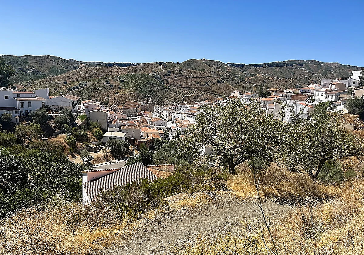 Malaga province town hall issues warning after colony cats shot