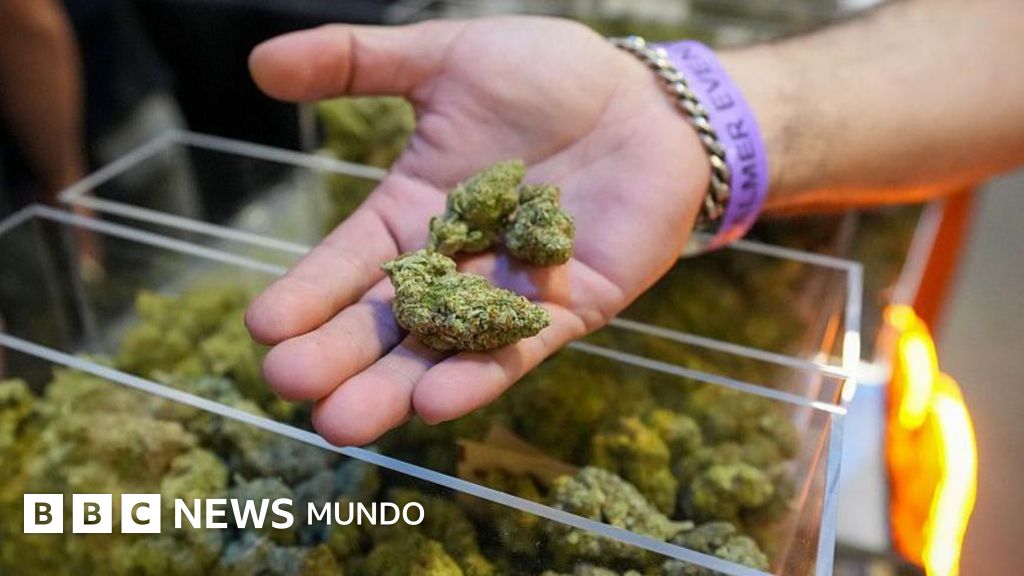 Trump firma una orden ejecutiva para reclasificar la marihuana como una droga menos peligrosa y ampliar el acceso a la misma