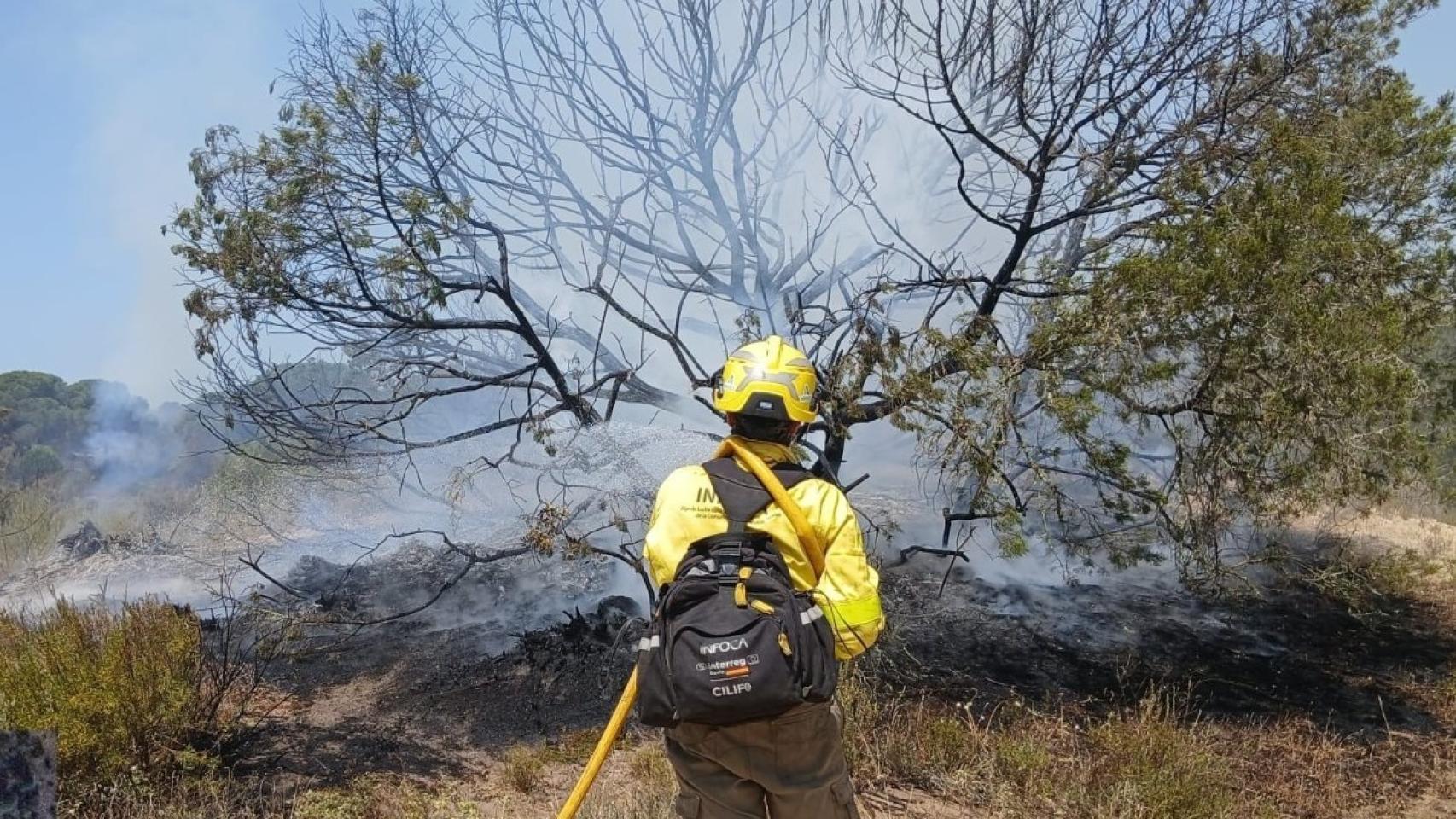 El viento y el terreno dificultan la extinción del incendio de Doñana: la Junta ha activado 10 aeronaves y 130 bomberos