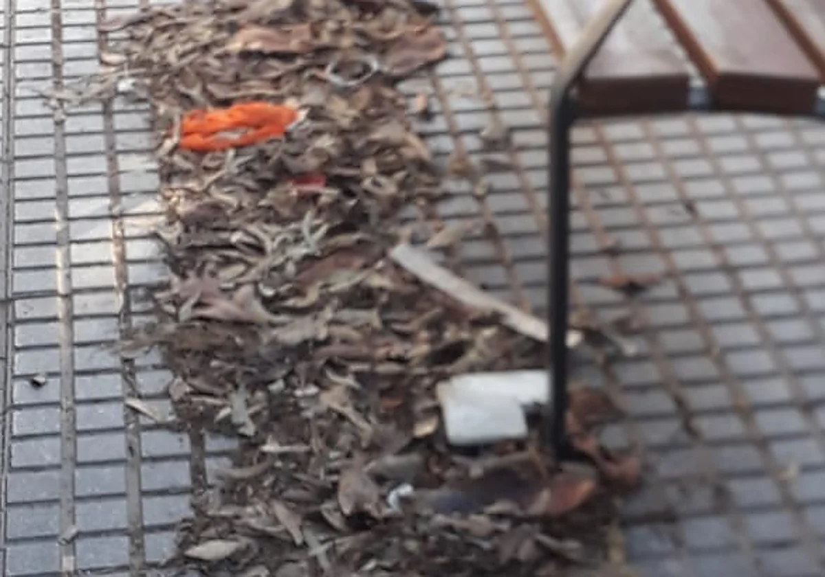 Martiricos: tropezones, hojas secas y dejadez