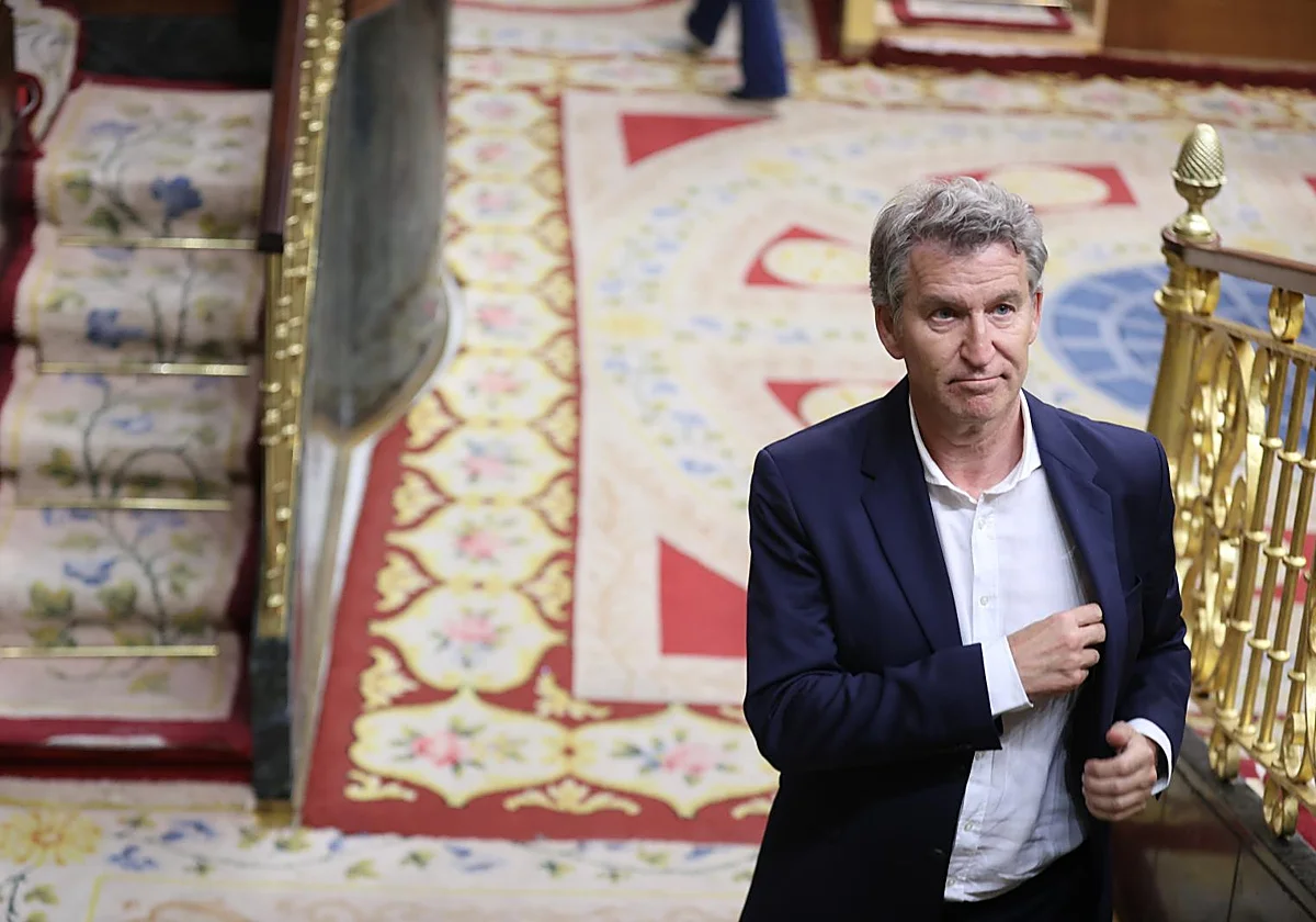 Feijóo sobre los registros en la sede del PSOE: «No queda más remedio que dar voz a los españoles»