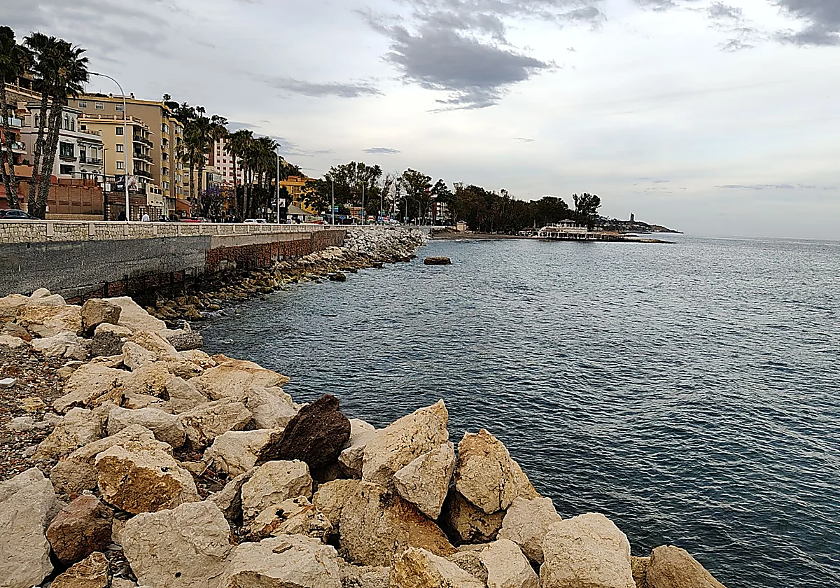 Spain's coastal authority to relocate 30 protected limpet snails to create Baños del Carmen beach