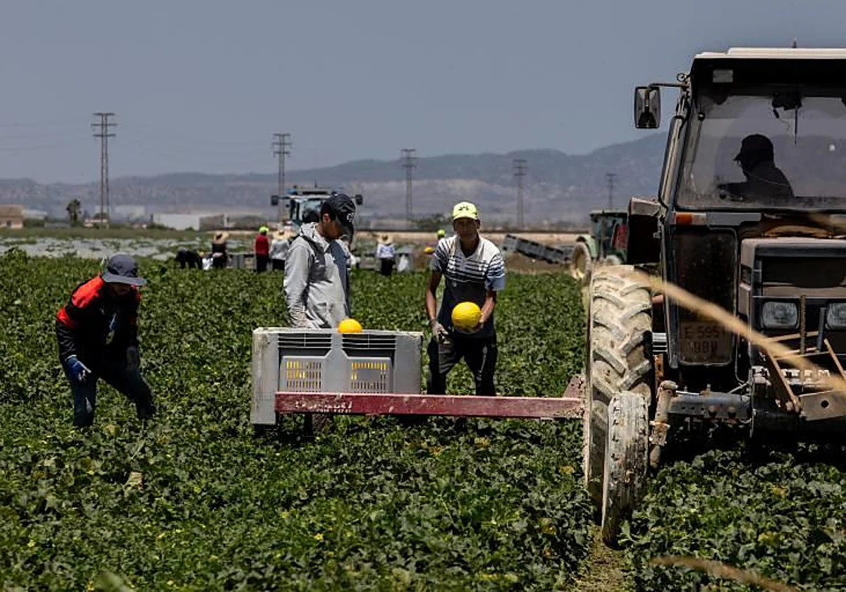 La regularización de inmigrantes apenas tendrá impacto en la economía española